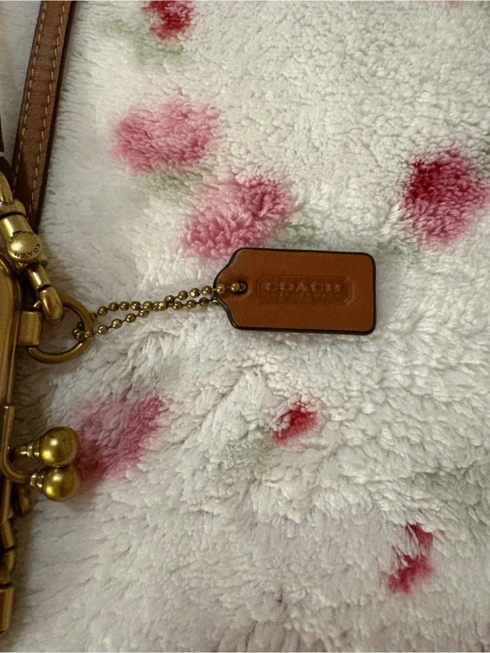 Coach Signature Ladybug Kisslock super rare HTF prestine condition